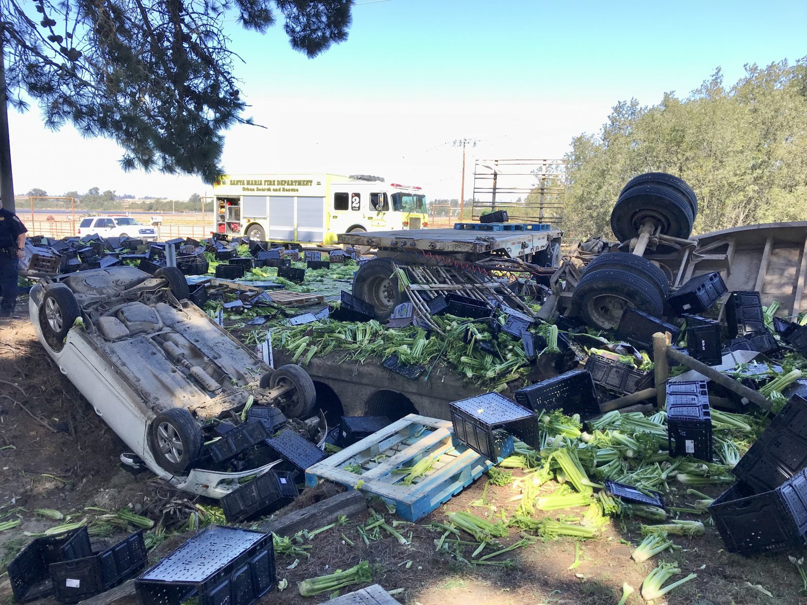 Highway 1 Collision